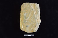 斧鋤形器藏品圖，第2張