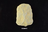 斧鋤形器藏品圖，第2張