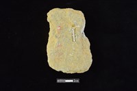 斧鋤形器藏品圖，第2張