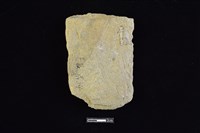 斧鋤形器藏品圖，第2張