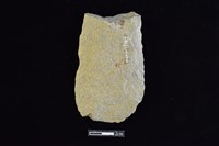 斧鋤形器藏品圖，第2張