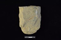 斧鋤形器藏品圖，第2張