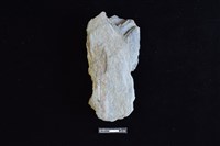 斧鋤形器藏品圖，第2張