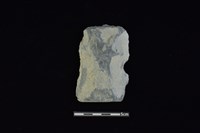 戈形器藏品圖，第1張
