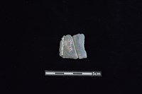 矛鏃形器藏品圖，第2張