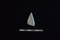 矛鏃形器藏品圖，第2張