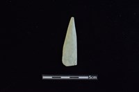 矛鏃形器藏品圖，第1張