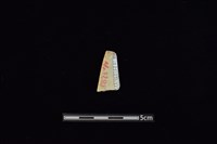 矛鏃形器藏品圖，第2張