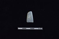 矛鏃形器藏品圖，第1張