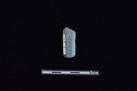 矛鏃形器藏品圖，第2張