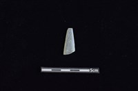 矛鏃形器藏品圖，第1張