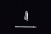 矛鏃形器藏品圖，第2張