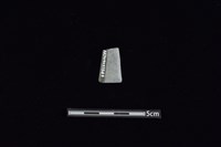 矛鏃形器藏品圖，第2張