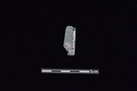 矛鏃形器藏品圖，第2張