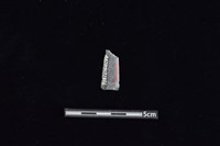 矛鏃形器藏品圖，第2張