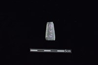 矛鏃形器藏品圖，第2張