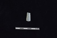 矛鏃形器藏品圖，第1張