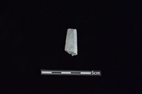 矛鏃形器藏品圖，第1張