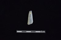 矛鏃形器藏品圖，第1張