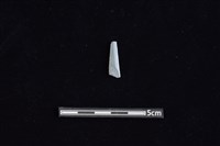 矛鏃形器藏品圖，第1張