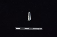 矛鏃形器藏品圖，第2張