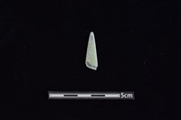 矛鏃形器藏品圖，第1張