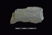 戈形器藏品圖，第1張