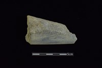 石鐮藏品圖，第1張