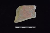 石鐮藏品圖，第1張