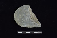 石鏟藏品圖，第1張