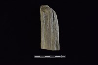 石鎚藏品圖，第2張