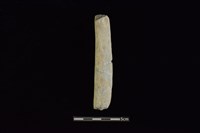 石鎚藏品圖，第1張