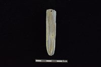 石鎚藏品圖，第2張