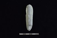 石鎚藏品圖，第2張