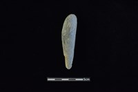 石鎚藏品圖，第1張