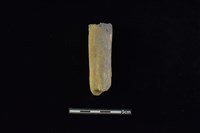 石鎚藏品圖，第1張