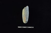 石鎚藏品圖，第2張