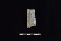 石鎚藏品圖，第2張