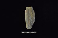 石鎚藏品圖，第2張