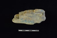 網墜藏品圖，第2張