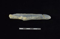 網墜藏品圖，第1張