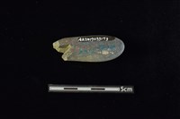 石鎚藏品圖，第2張