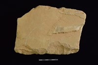 砥石藏品圖，第2張