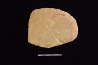 砥石藏品圖，第2張