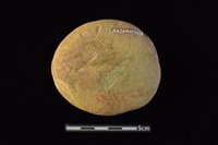 砥石藏品圖，第2張