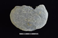 穿孔石板藏品圖，第1張