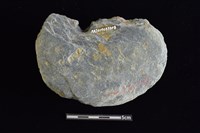 穿孔石板藏品圖，第2張