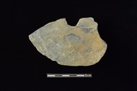 穿孔石板藏品圖，第1張