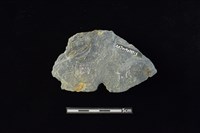 穿孔石板藏品圖，第2張