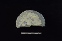 穿孔石板藏品圖，第1張